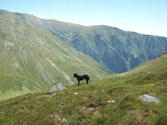 Fagarasbilder