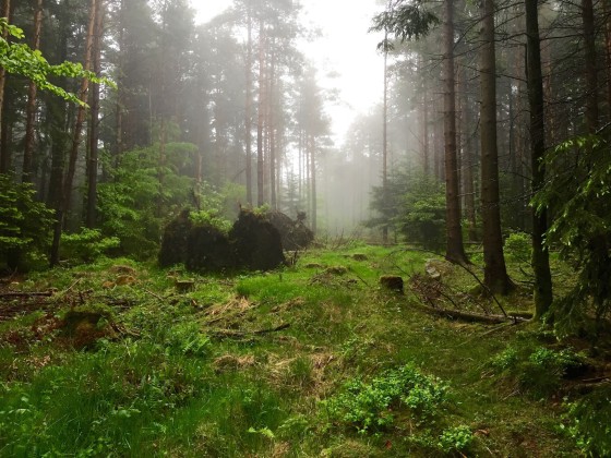 Schwarzwald Westweg: Pforzheim - Forbach