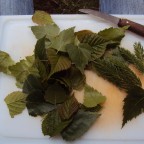 Bratkartoffeln in der Eisenpfanne (5)