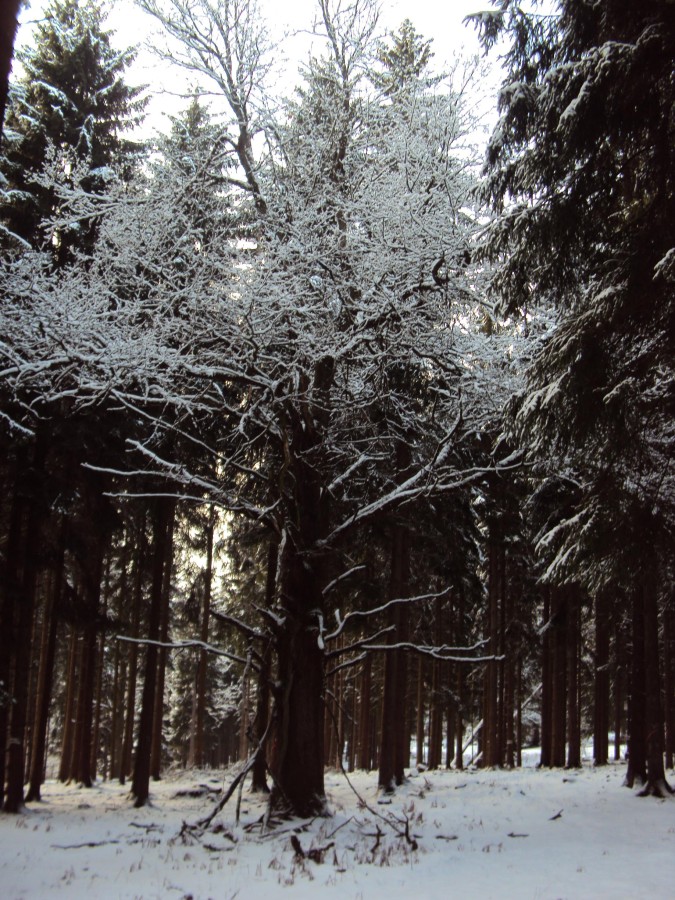 Winterimpressionen Ostern 2013