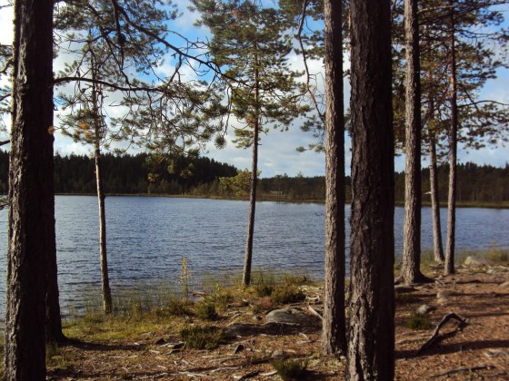 Finnland 2012 (9)