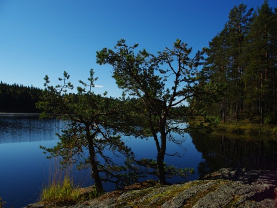 Glaskogen Sept2013