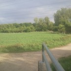 36 Knechtstedener  Forst