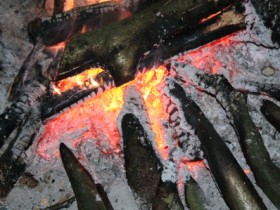 Forentreffen In der Pfalz 2012