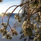 Schneeschuh Hiking über See