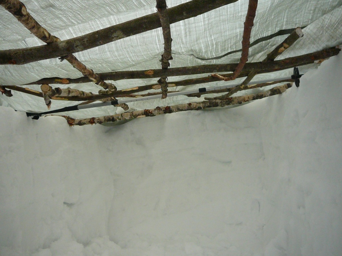 Schneegraben Snow Shelter 4